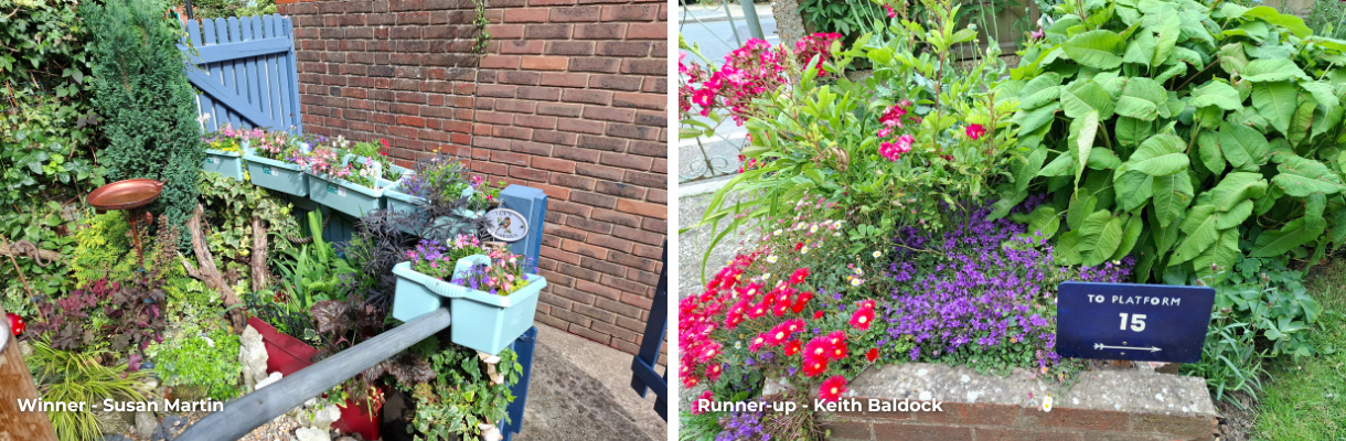 Susan Martin's garden and Keith Baldock's garden, Isle of Wight