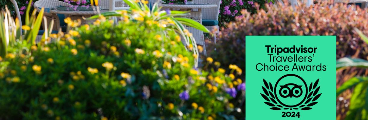 Garden at The Royal Hotel, Isle of Wight