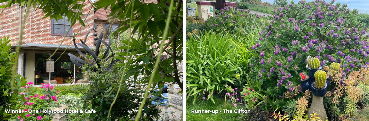 Garden at One Holyrood Hotel & Cafe and garden at The Clifton