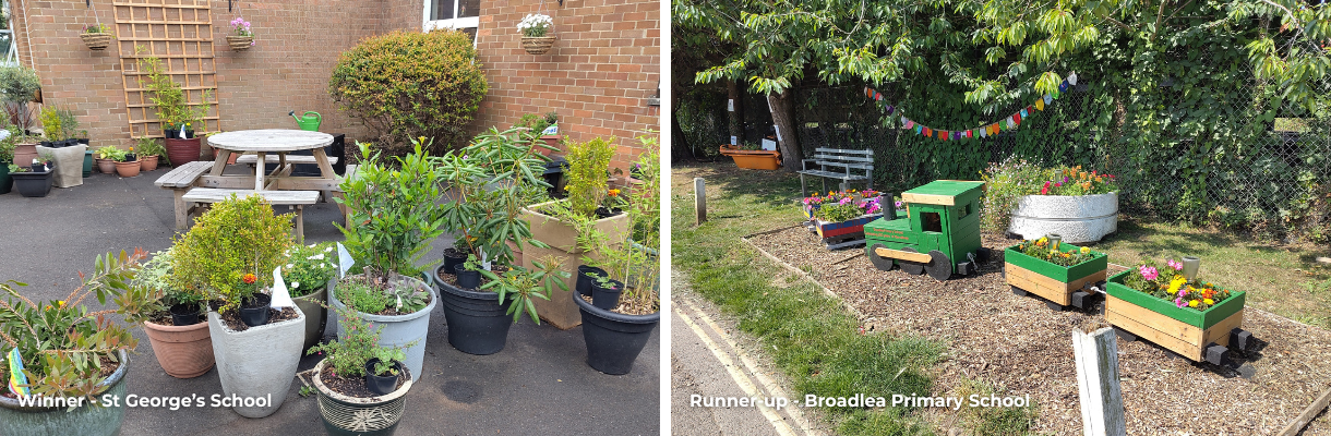 St George's School & Broadlea Primary School, Isle of Wight