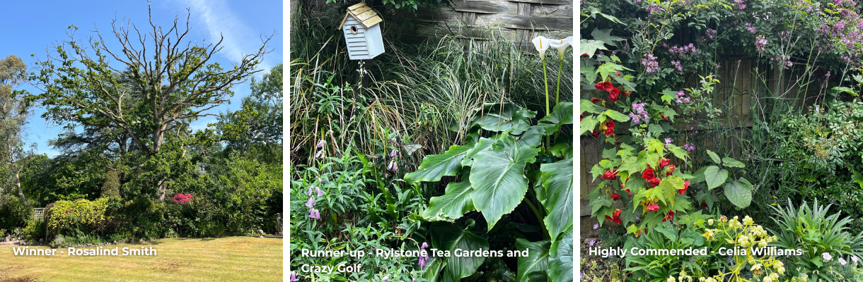 Rosalind Smith's garden, Rylstone Tea Gardens and Celia Williams gardens, Isle of Wight