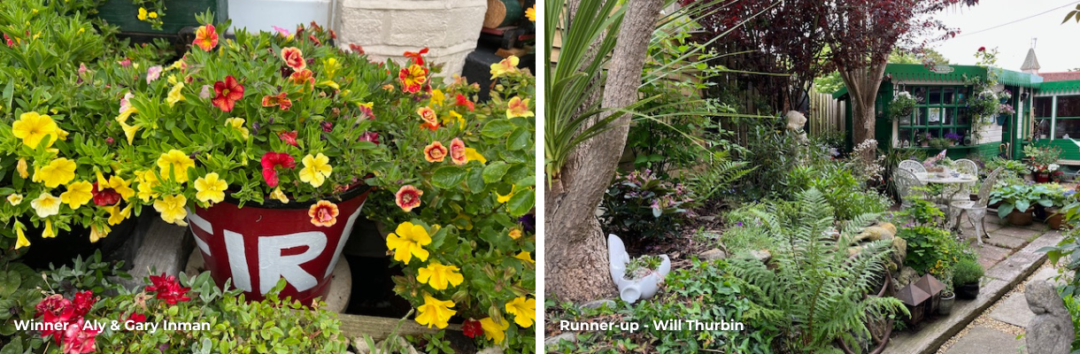 Aly & Gary Inman's garden & Will Thurbin's garden, Isle of Wight
