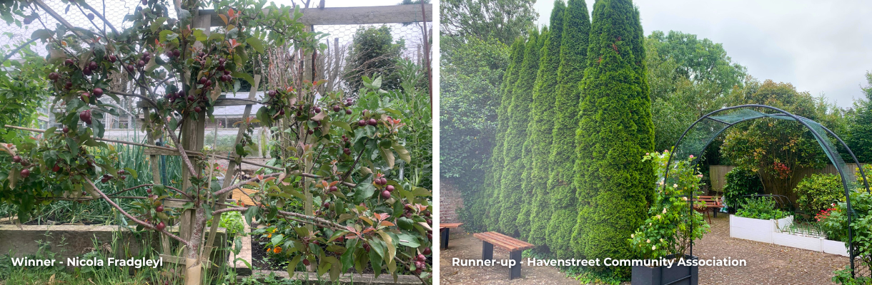 Nicola Fradgley's garden and Havenstreet Community Association's garden, Isle of Wight