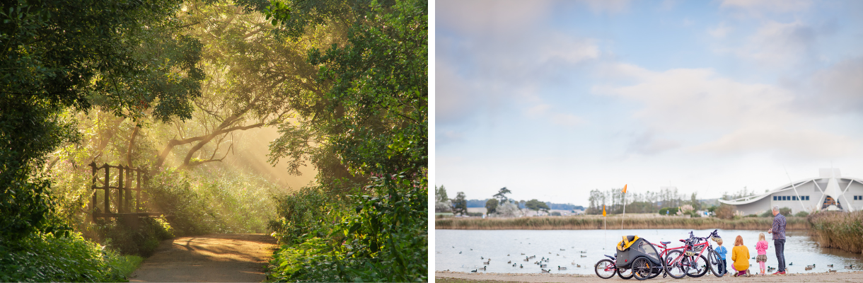 Alverstone Mead and a family with bikes in Sandown, Isle of Wight