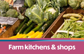 Farm Kitchens & Shops on the Isle of Wight