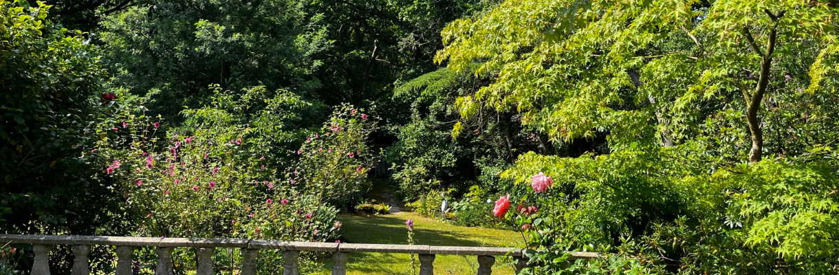 Rosalind Smith's garden - winner of two awards - Wight in Bloom 2025