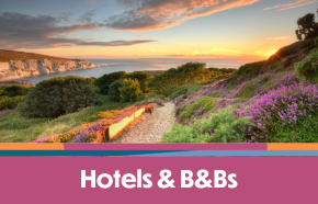 Dog Friendly Hotels & B&Bs on the Isle of Wight