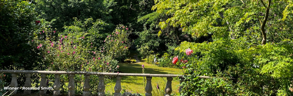 Rosalind Smith's garden, Isle of Wight
