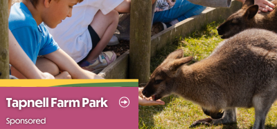 Children feeding a wallaby at Tapnell Farm Park, Isle of Wight