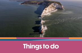 Dog Friendly Things to Do on the Isle of Wight