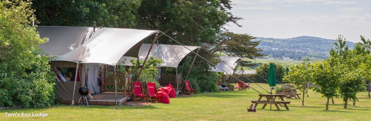 Safari tents at Tom's Eco Lodge