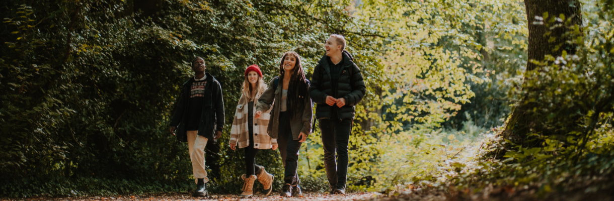 Group of adults walking in the woods on the Isle of Wight