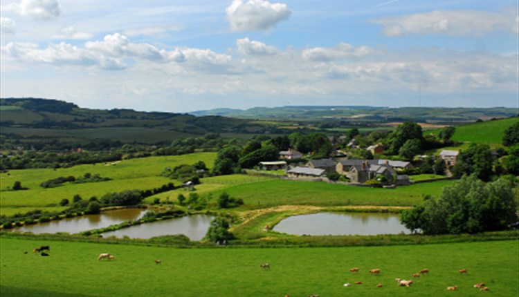 Nettlecombe Farm - Visit Isle Of Wight