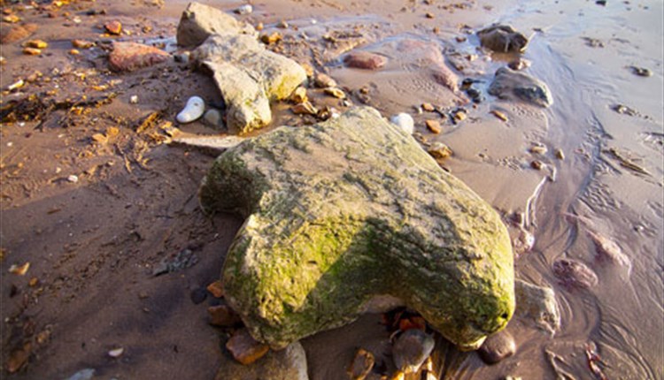 Brook Beach Newport Visit Isle Of Wight